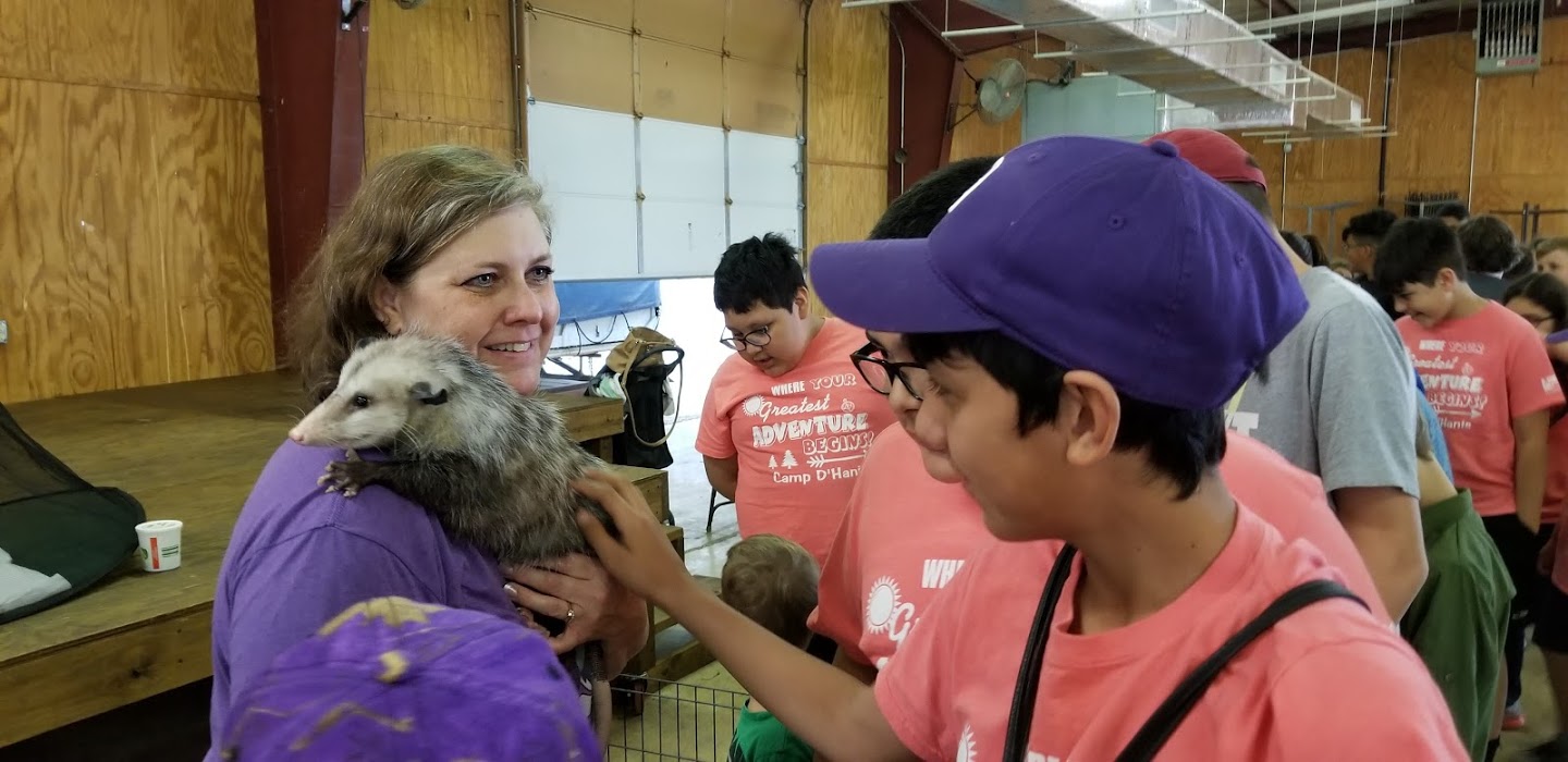 Opossum up close 4th Grade learn about animals