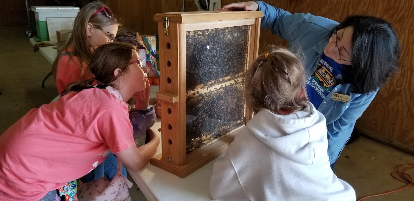 Heinz BeeKeeper Booth 4th Grade learn about bees