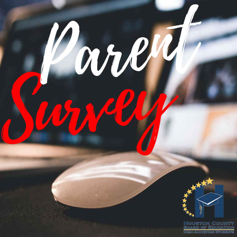 Parent Survey
