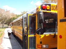 School Busses School Busses