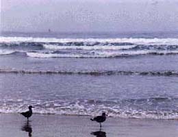pass1 Pass Christian beach