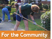 Community
